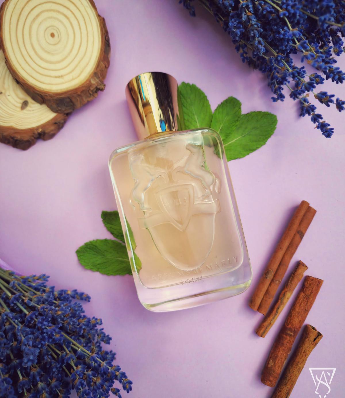 عطر ادکلن دارلی پرفیوم د مارلی - Darley Parfums de Marly - بررسی، قیمت و خرید