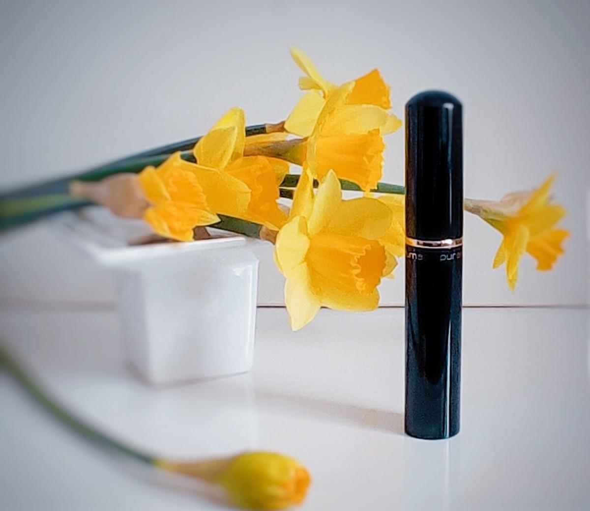 عطر ادکلن پیوردیستنس نامبر توئلو پیوردیستنس - Puredistance No. 12 Puredistance - بررسی، قیمت و خرید