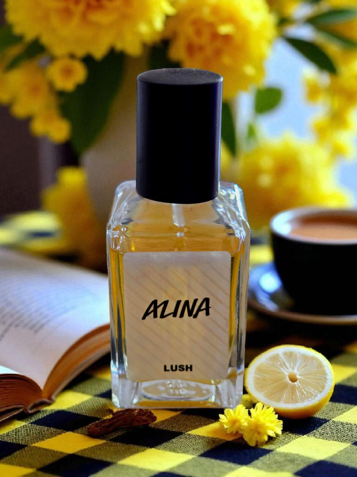 عطر ادکلن آلینا لاش - Alina Lush - بررسی، قیمت و خرید