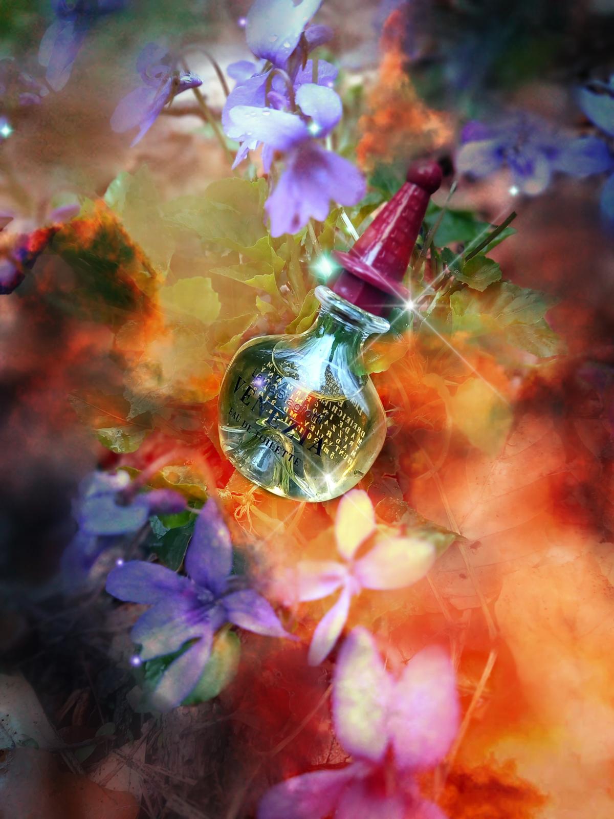 عطر ادکلن ونیز لورا بیجیو - Venezia Laura Biagiotti - بررسی، قیمت و خرید