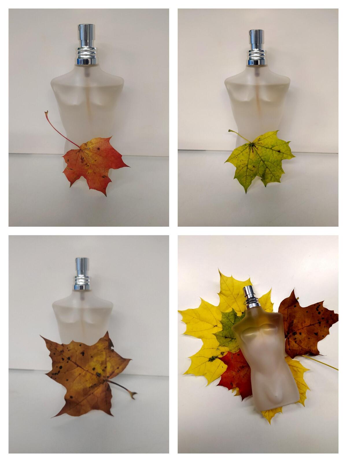 عطر ادکلن لا کولون فلور دو مال ژان پل گوتیه - La Cologne Fleur du Male Jean Paul Gaultier - بررسی، قیمت و خرید