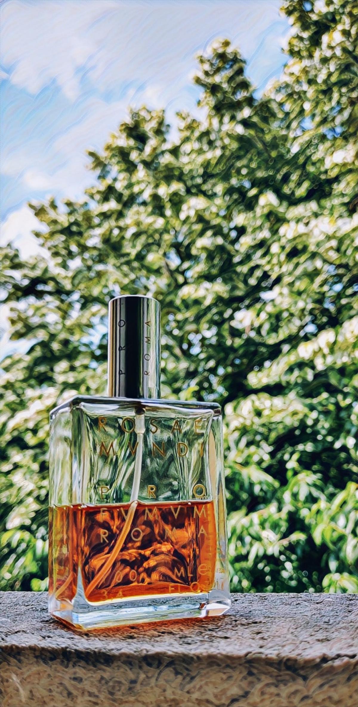 عطر ادکلن رزای موندی پروفیوم روم - Rosae Mundi Profumum Roma - بررسی، قیمت و خرید