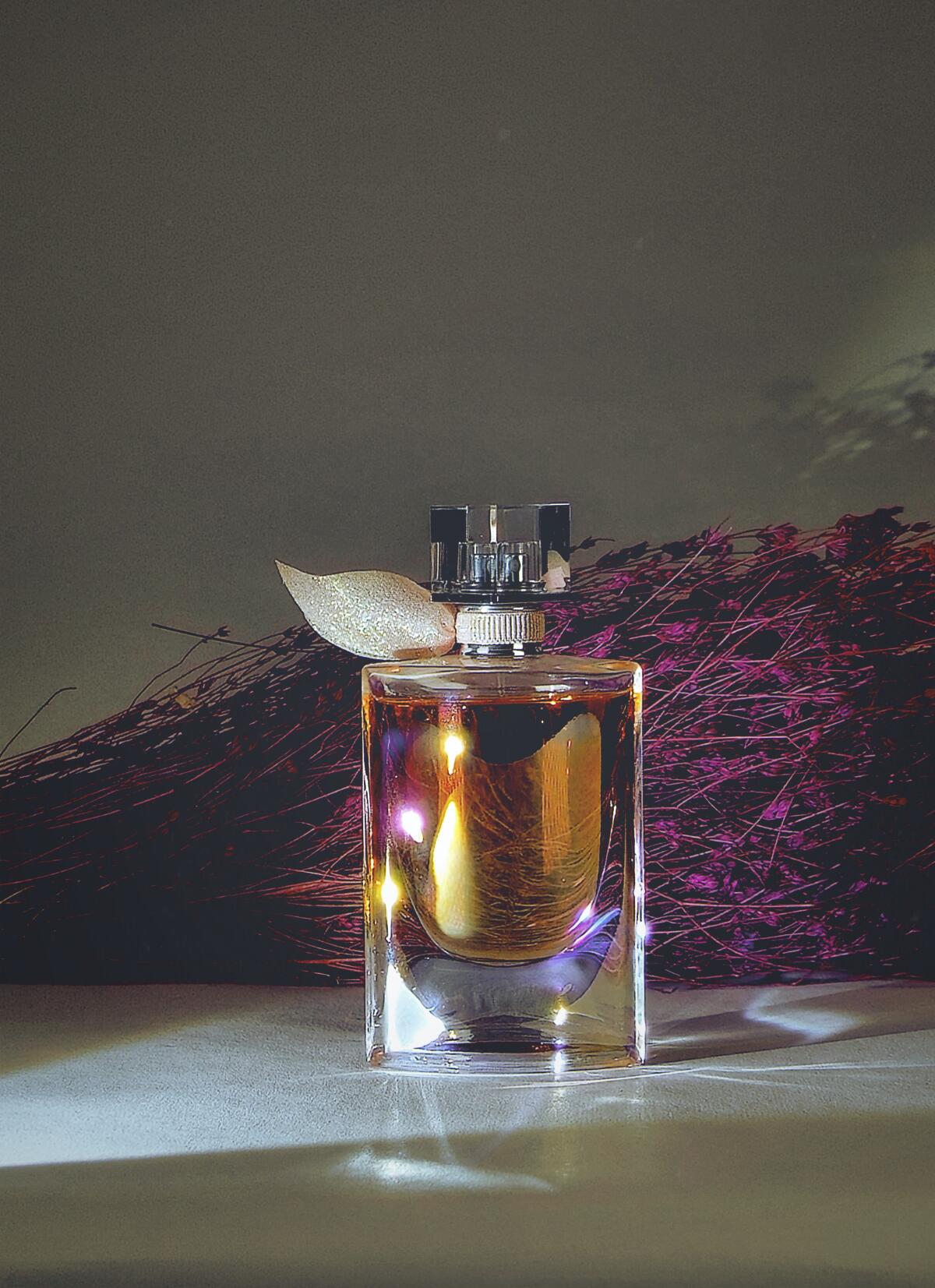 عطر ادکلن لا وی است بل دومین دو لا رز لَنکوم - La Vie Est Belle Domaine de la Rose Lancôme - بررسی، قیمت و خرید