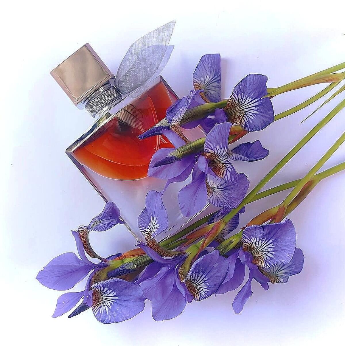 عطر ادکلن لا ویه است بل لابسیلو لنکوم - La Vie Est Belle L’Absolu Lancôme - بررسی، قیمت و خرید