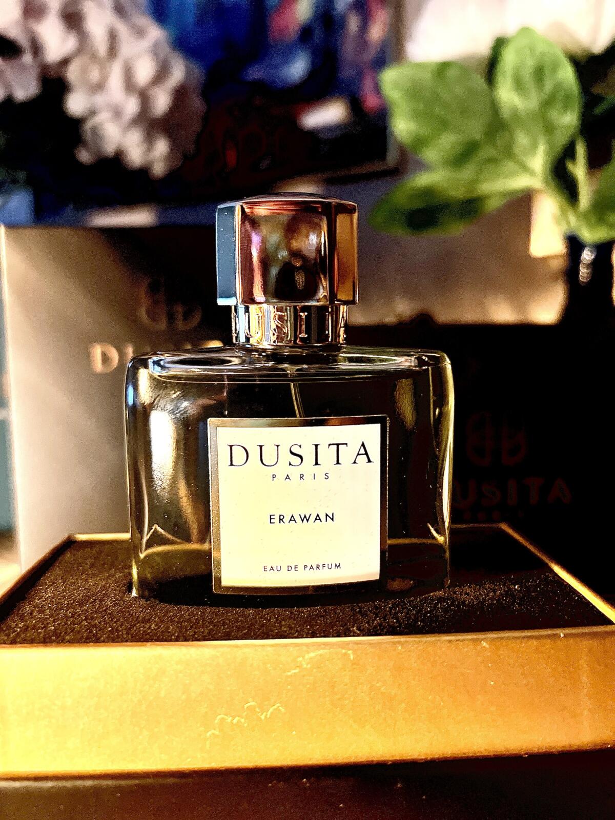 عطر ادکلن اروان پارفوم دو سیتا - Erawan Parfums Dusita - بررسی، قیمت و خرید
