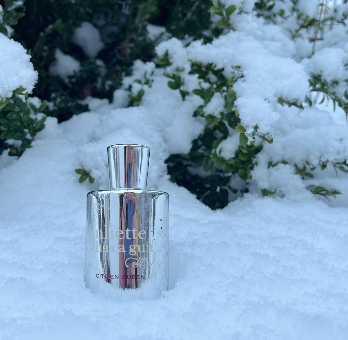 عطر ادکلن سیتیزن کویین ژولیت هز اِ گان - Citizen Queen Juliette Has A Gun - بررسی، قیمت و خرید