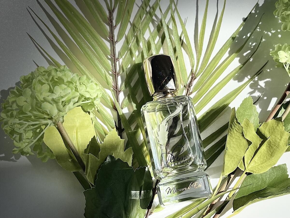 عطر ادکلن مورمور دِ اِته پلام ایمپرشن - Murmure d'Ete Plume Impression - بررسی، قیمت و خرید