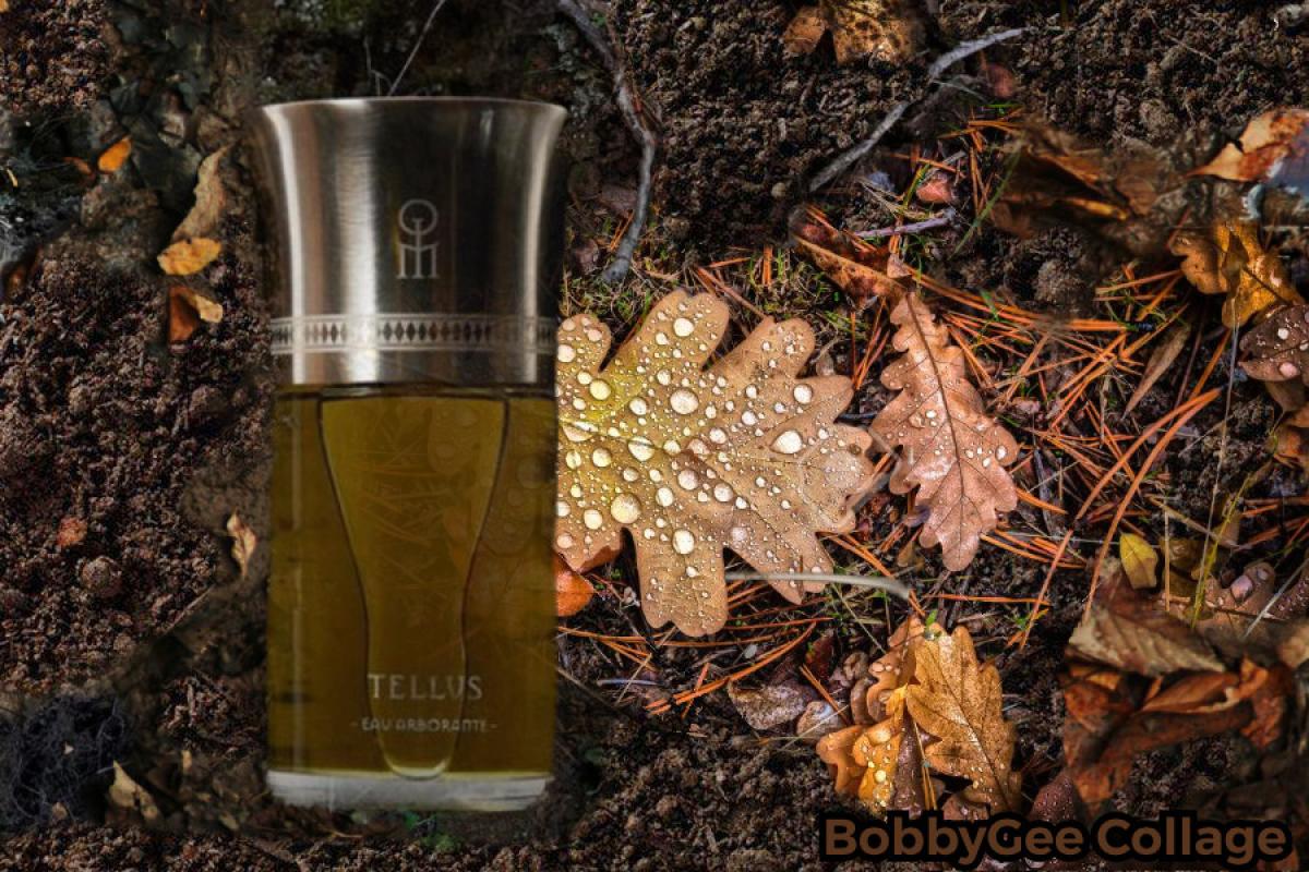 عطر ادکلن تلوس لز لیکوید ایمجینر - Tellus Les Liquides Imaginaires - بررسی، قیمت و خرید