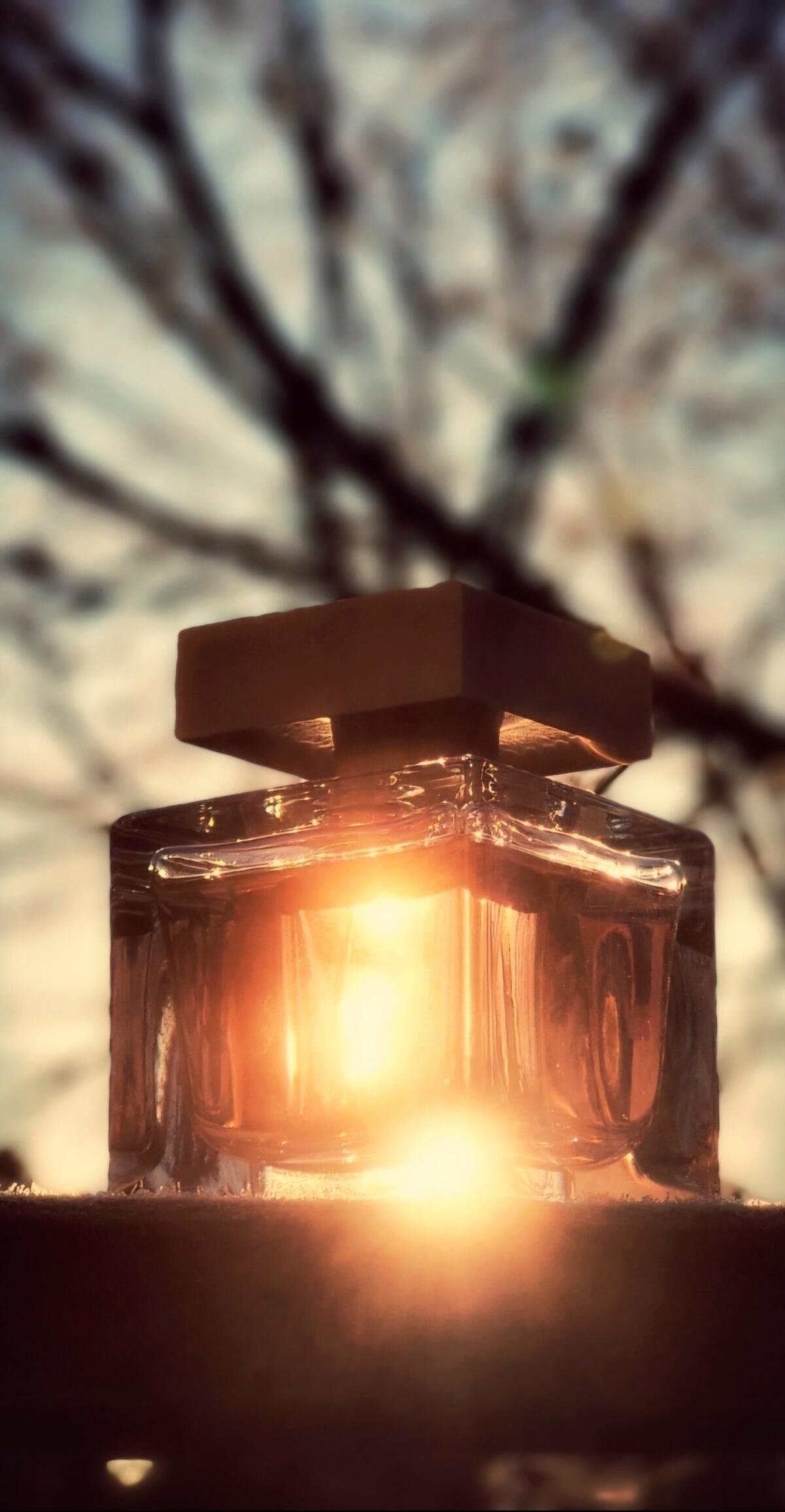 عطر ادکلن نارسیسو او دو پرفیوم کریستال نارسیسو رودریگز - Narciso Eau de Parfum Cristal Narciso Rodriguez - بررسی، قیمت و خرید
