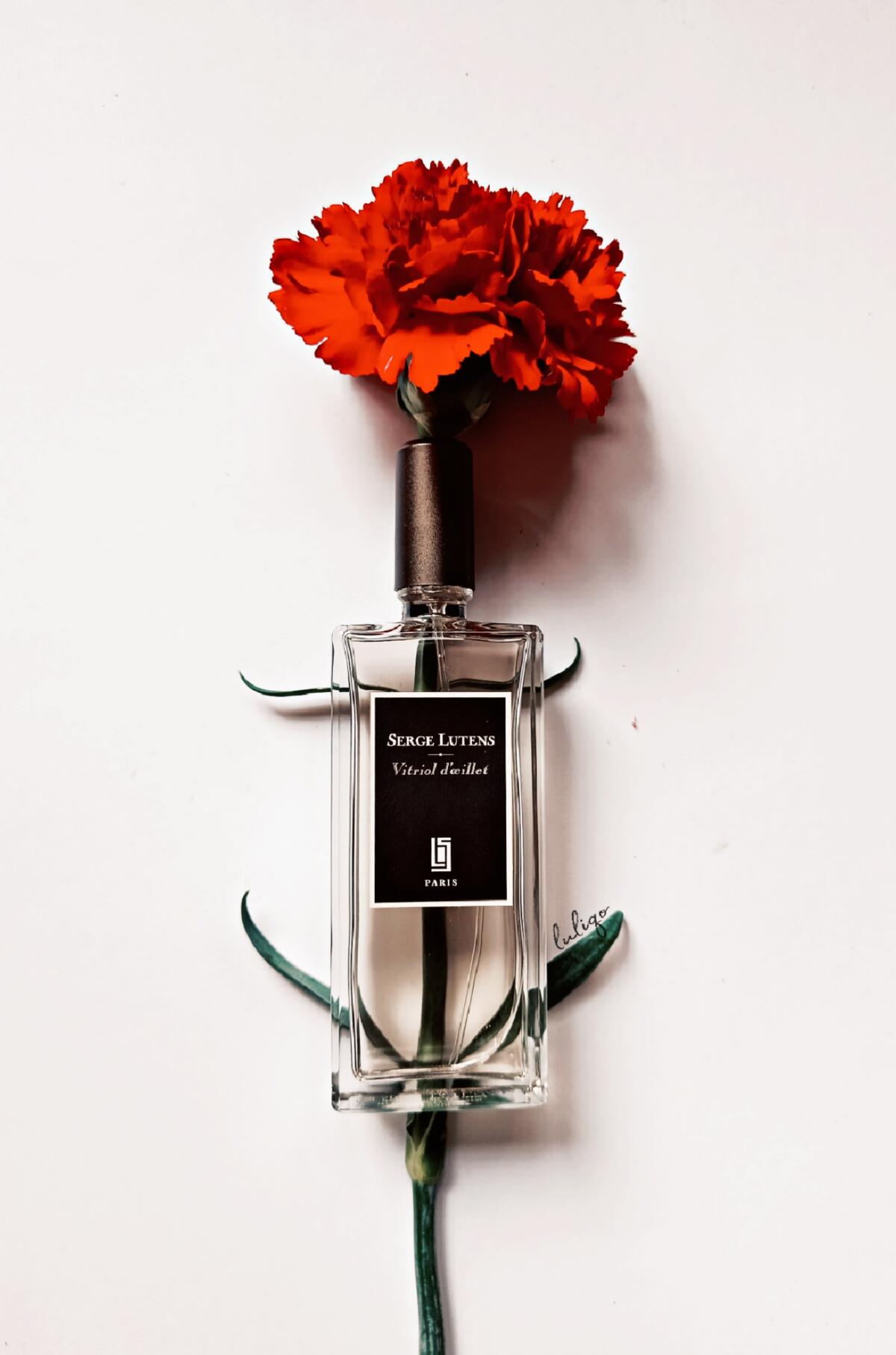 عطر ادکلن ویتریول دئیه سرژ لوتنس - Vitriol d’œillet Serge Lutens - بررسی، قیمت و خرید