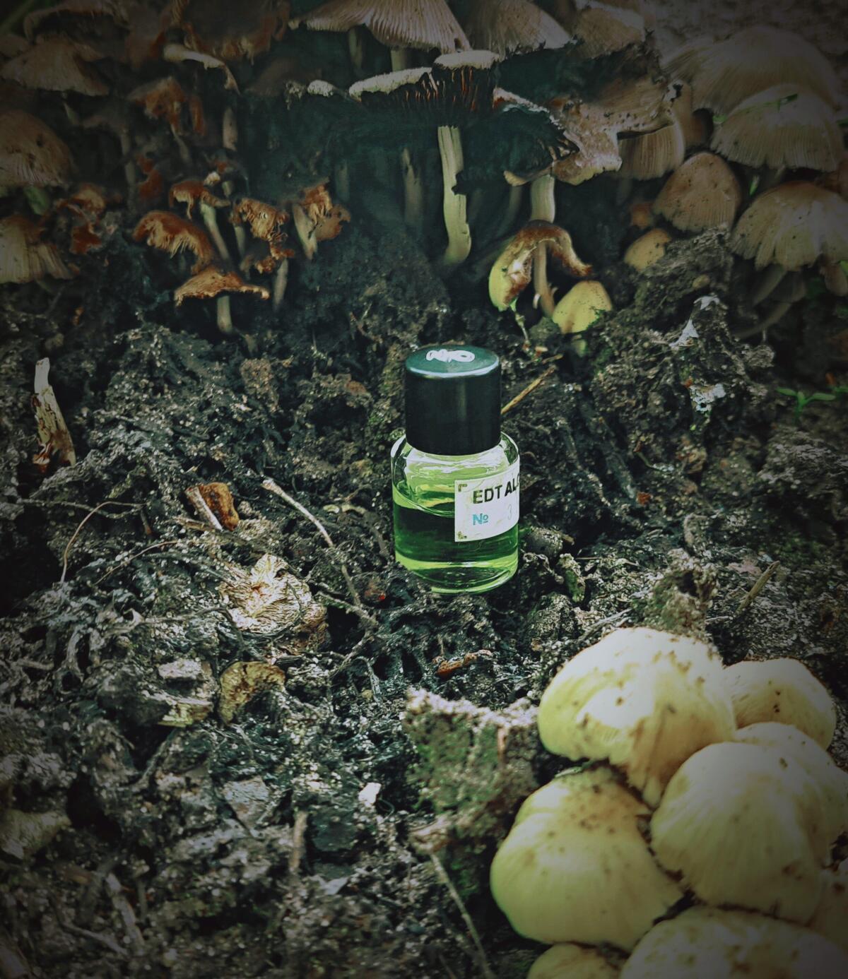 عطر ادکلن فریگرنس نامبر سی و دو نیکوس-اسکول فراگرنس - Fragrance №32 Nikkos-Oskol Fragrance - بررسی، قیمت و خرید