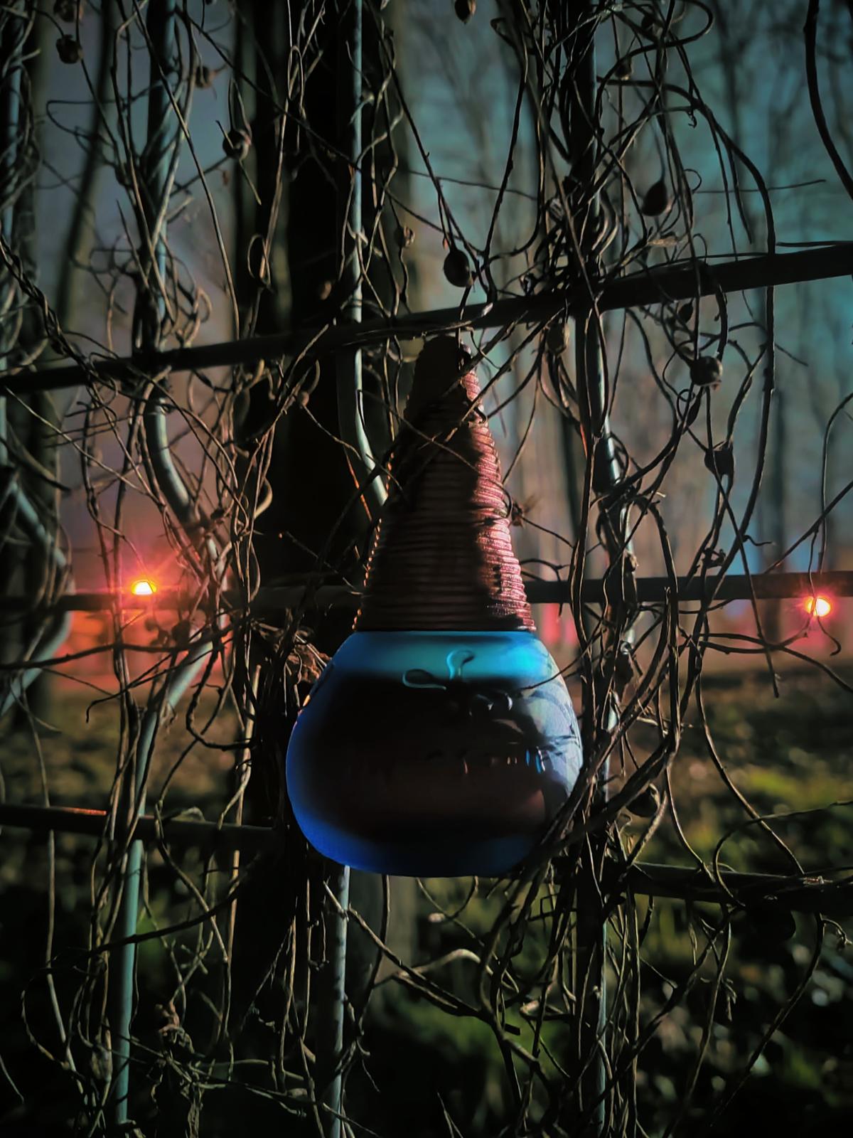 عطر ادکلن مانسون مانسون - Monsoon (original) Monsoon - بررسی، قیمت و خرید