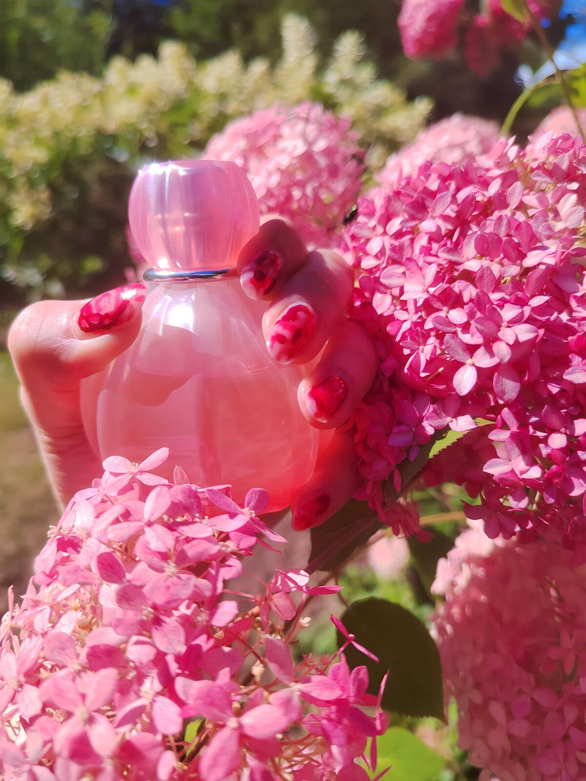 عطر ادکلن میراژ دیریم اوریف‌لیم - Mirage Daydream Oriflame - بررسی، قیمت و خرید