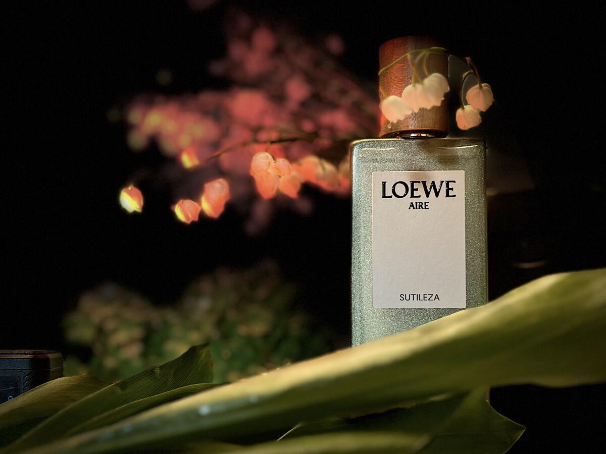 عطر ادکلن آیره سوتیلزا لووه - Aire Sutileza Loewe - بررسی، قیمت و خرید