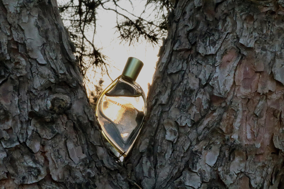 عطر ادکلن سامر بای کنزو کنزو - Summer by Kenzo Kenzo - بررسی، قیمت و خرید