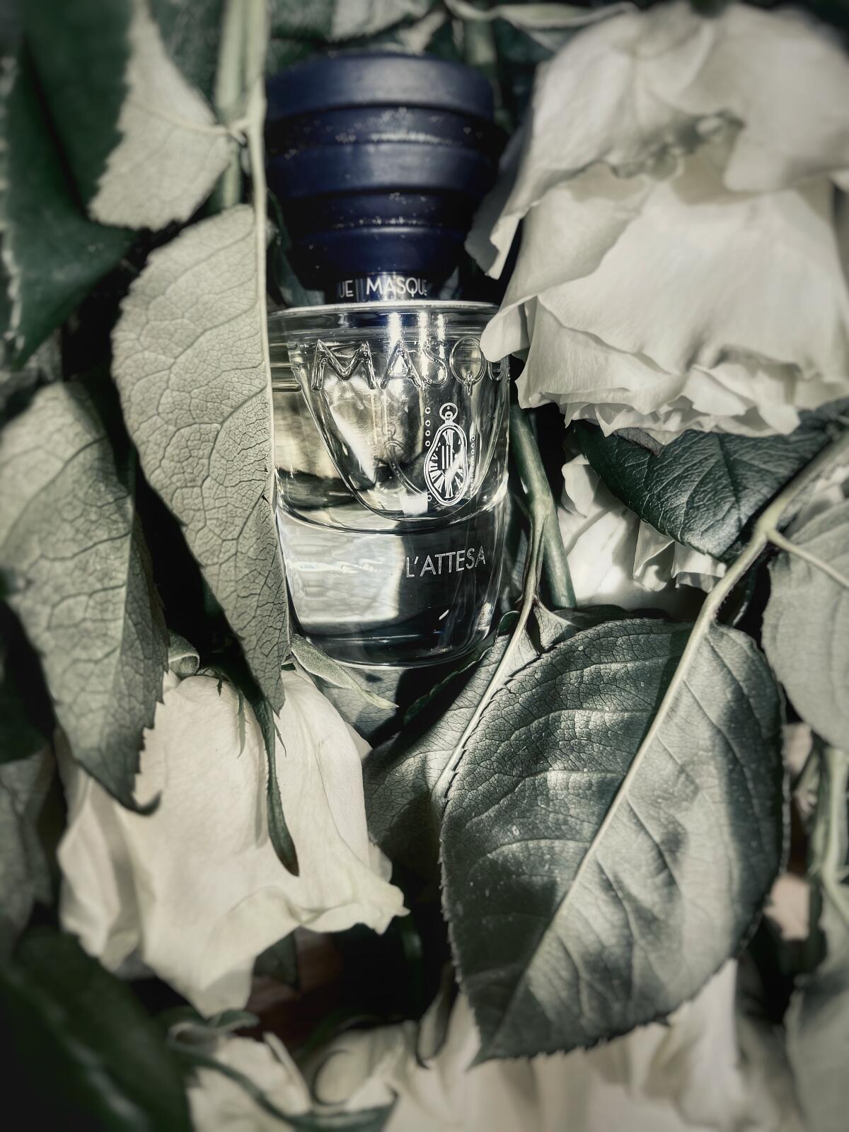 عطر ادکلن لاتِسا ماسک میلان - L'Attesa Masque Milano - بررسی، قیمت و خرید