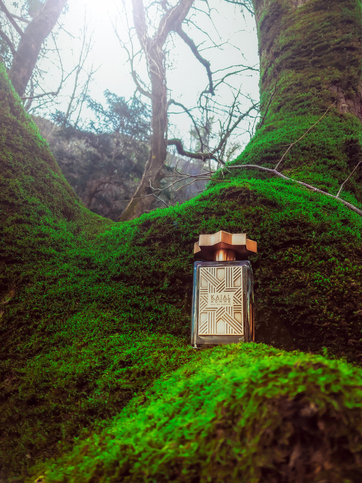 عطر ادکلن کاجال هوم کاجال - Kajal Homme Kajal - بررسی، قیمت و خرید