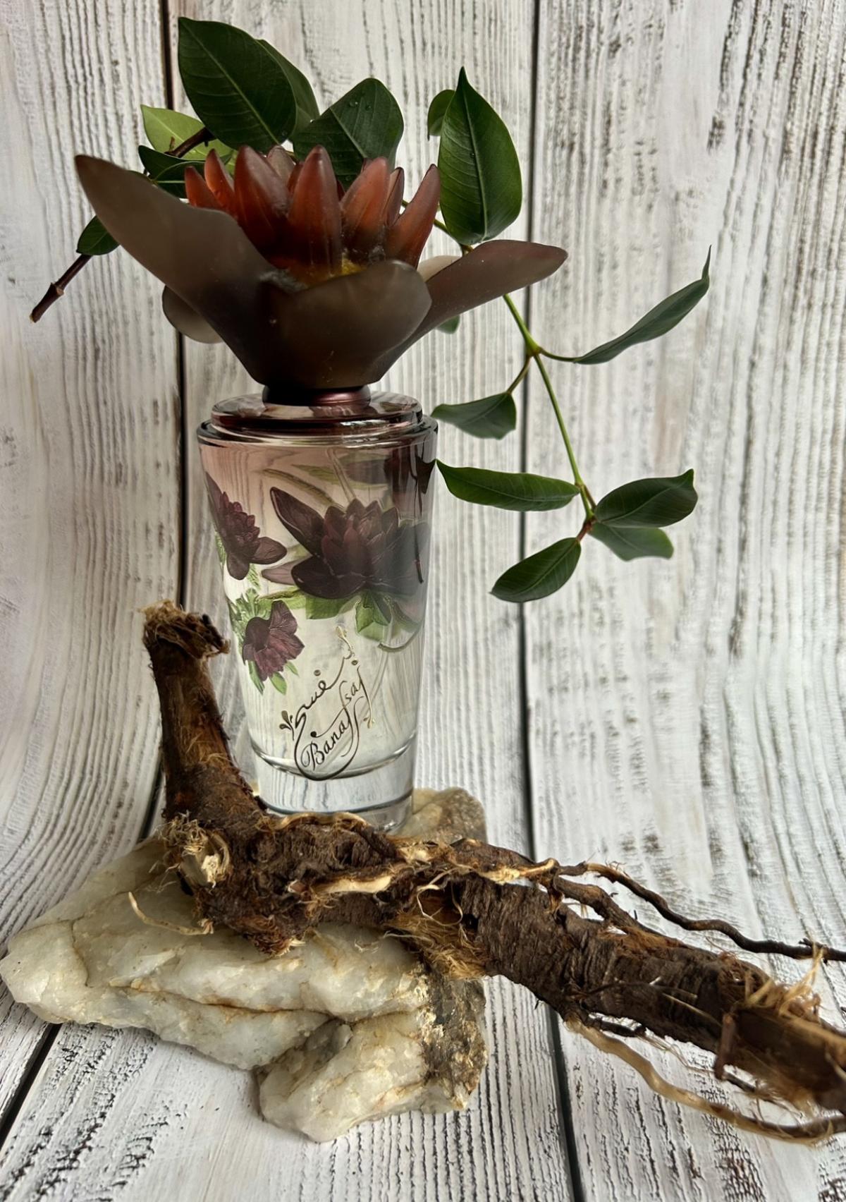 عطر ادکلن بنفشه نایت جونیاد پرفیومز - Banafsaj Night Junaid Perfumes - بررسی، قیمت و خرید