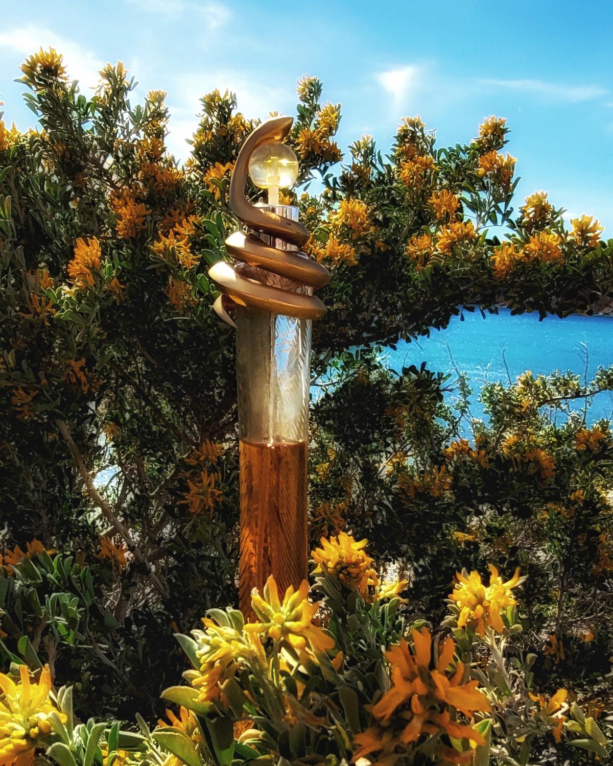 عطر ادکلن روبerto کاوالی اورو روبرتو کاوالی - Roberto Cavalli Oro Roberto Cavalli - بررسی، قیمت و خرید