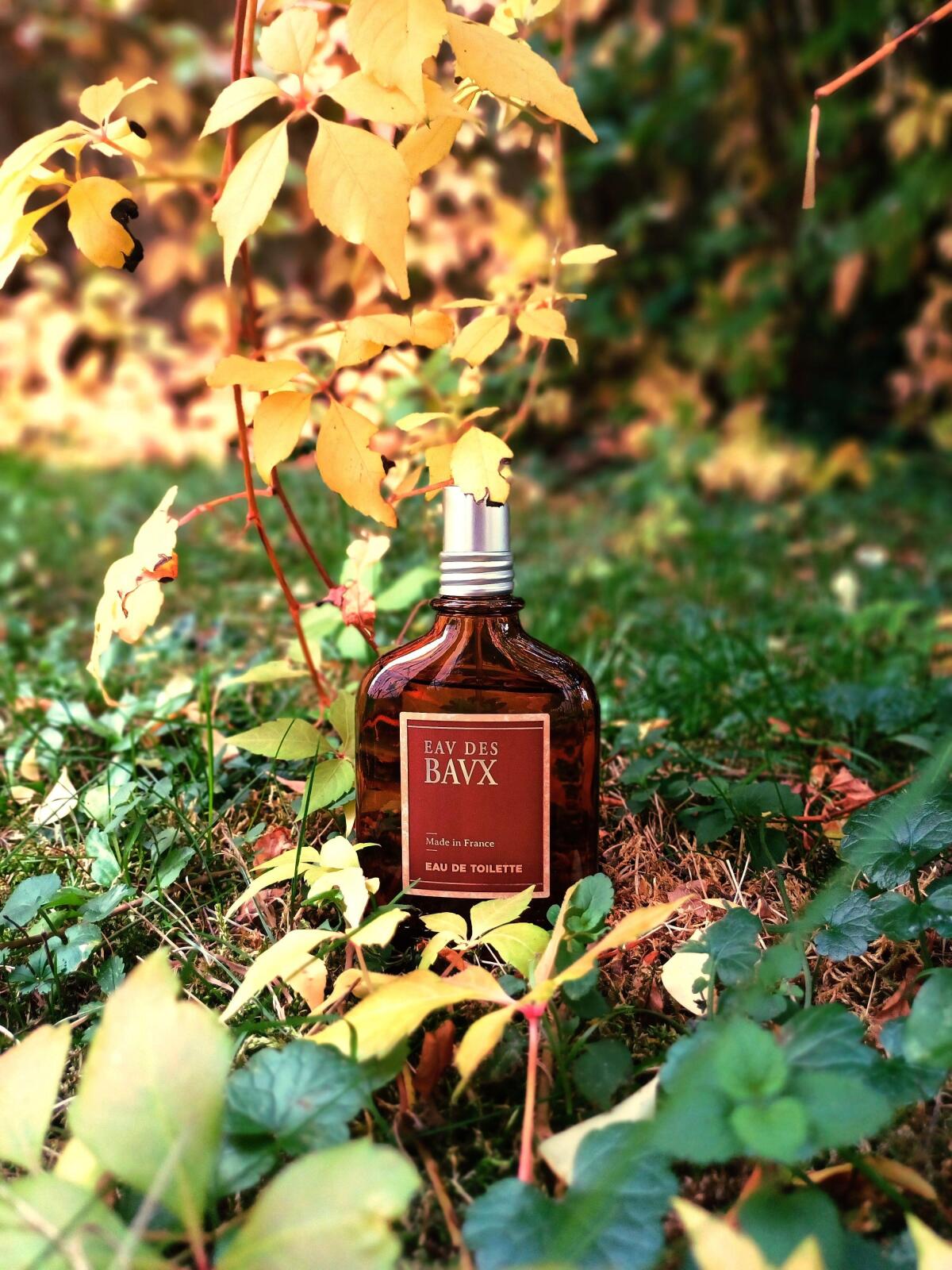 عطر ادکلن او د باکس لوکسیتان - Eau des Baux L'Occitane en Provence - بررسی، قیمت و خرید