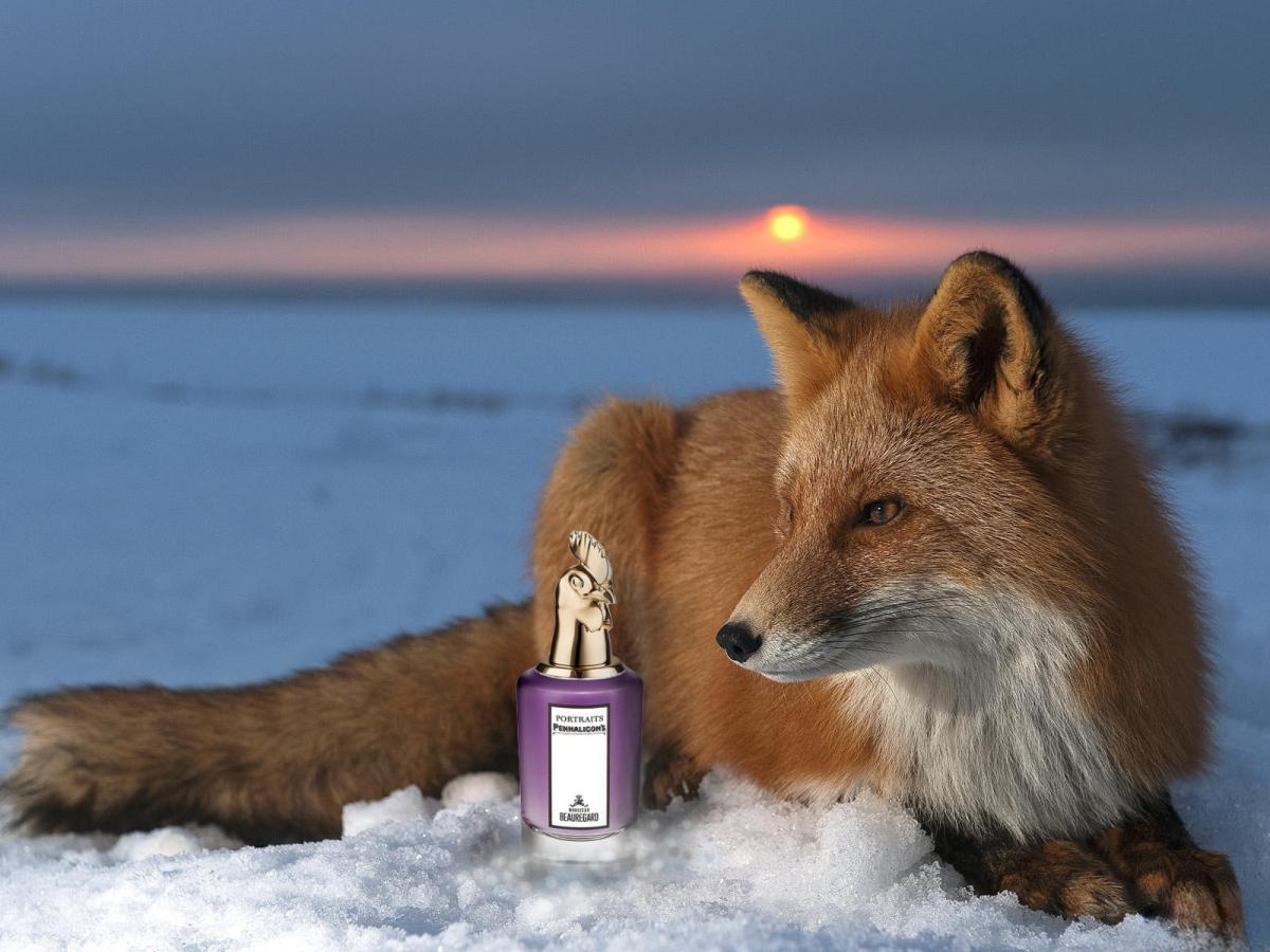 عطر ادکلن مسیو بوگارد پنالیگونز - Monsieur Beauregard Penhaligon's - بررسی، قیمت و خرید