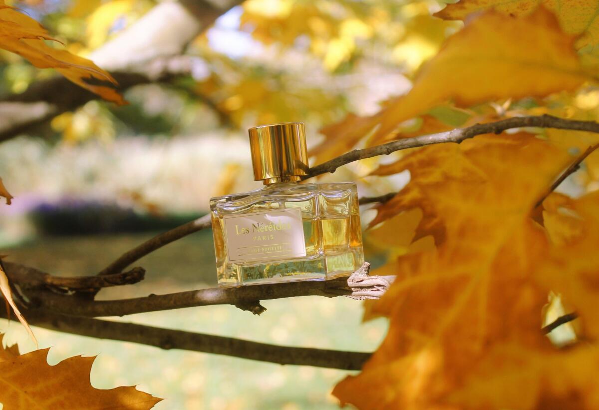 عطر ادکلن کاس نوآزت لزنرید - Casse-Noisette Les Nereides - بررسی، قیمت و خرید