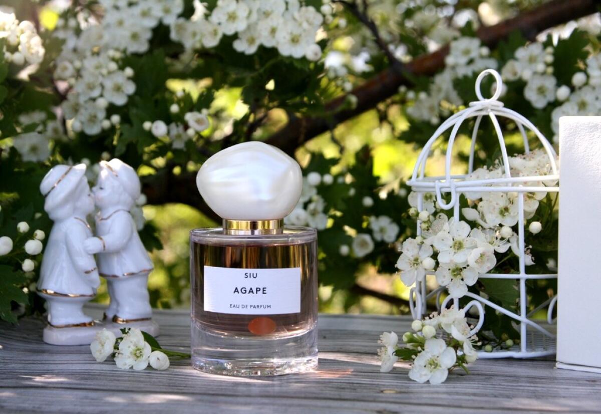 عطر ادکلن اگاپه سیو - Agape SIU - بررسی، قیمت و خرید