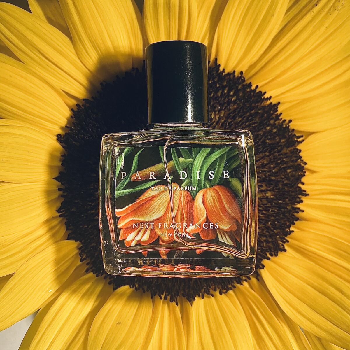 عطر ادکلن پاردایس نِست - Paradise Nest - بررسی، قیمت و خرید