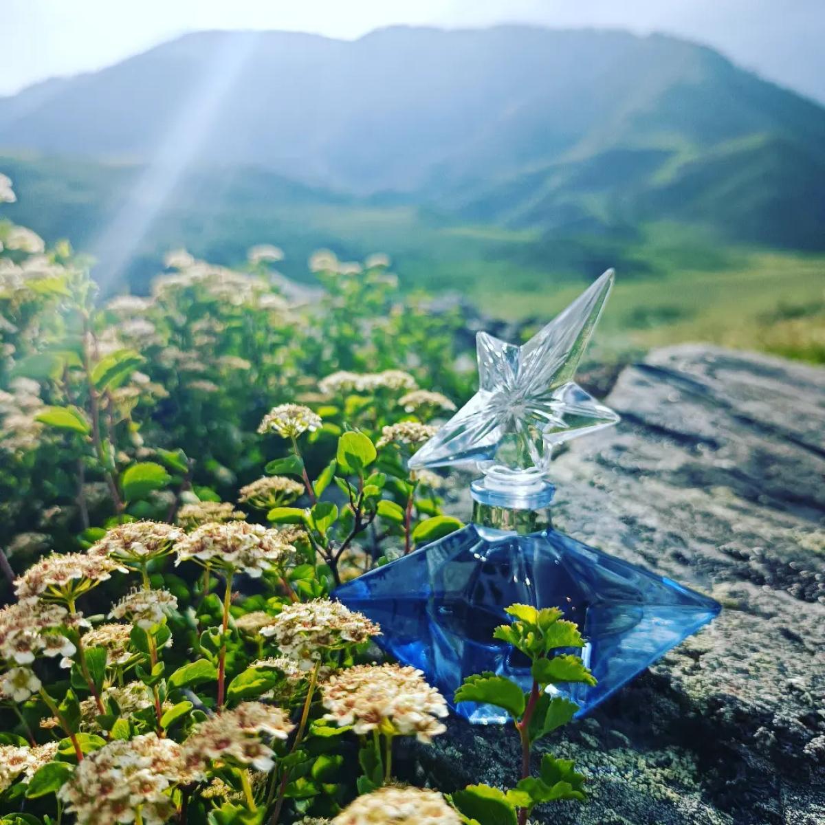 عطر ادکلن انجل اکستریت د پرفیوم موگلر - Angel Extrait de Parfum Mugler - بررسی، قیمت و خرید