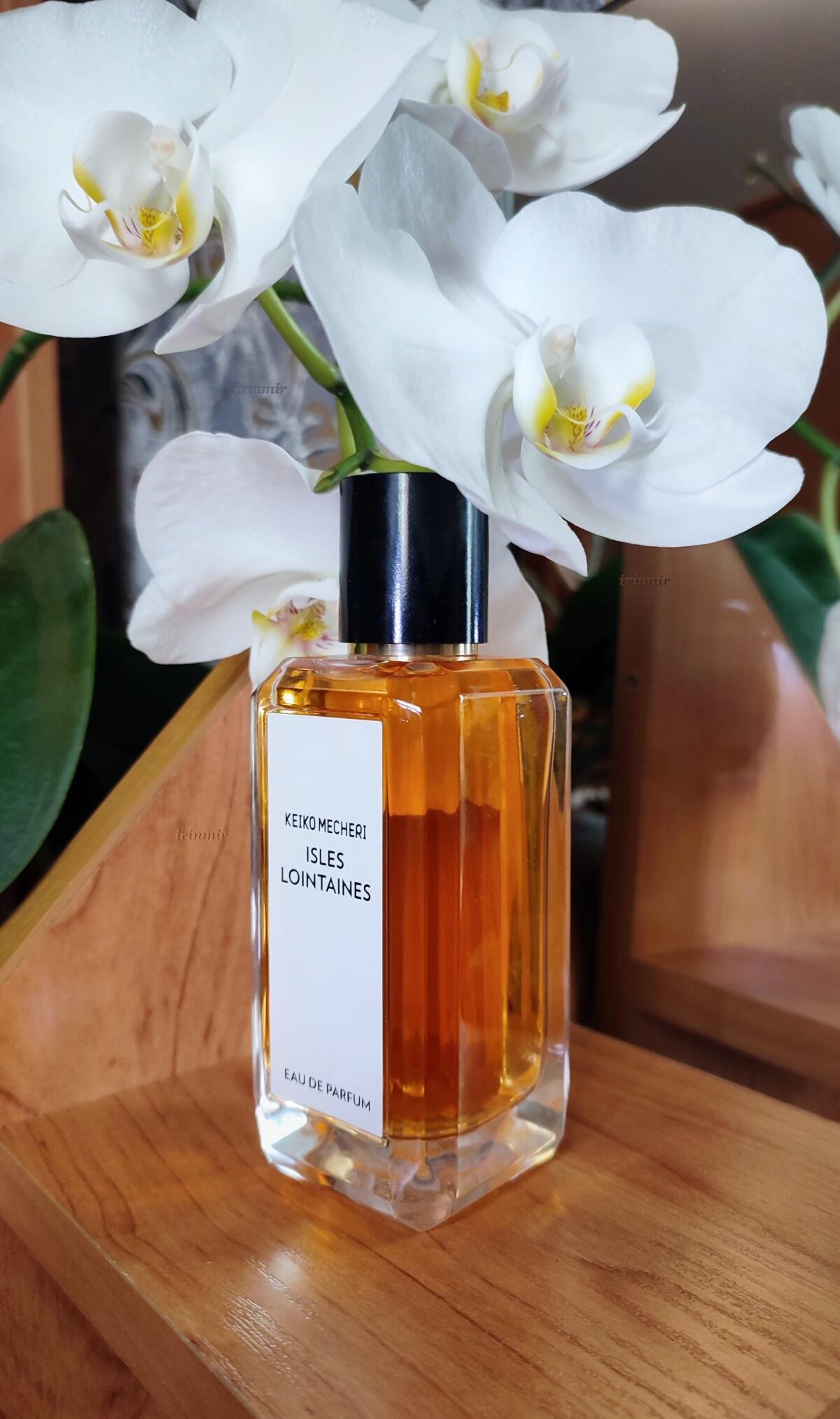 عطر ادکلن آیلز لوئینتن کیکو مشر - Isles Loîntaines Keiko Mecheri - بررسی، قیمت و خرید