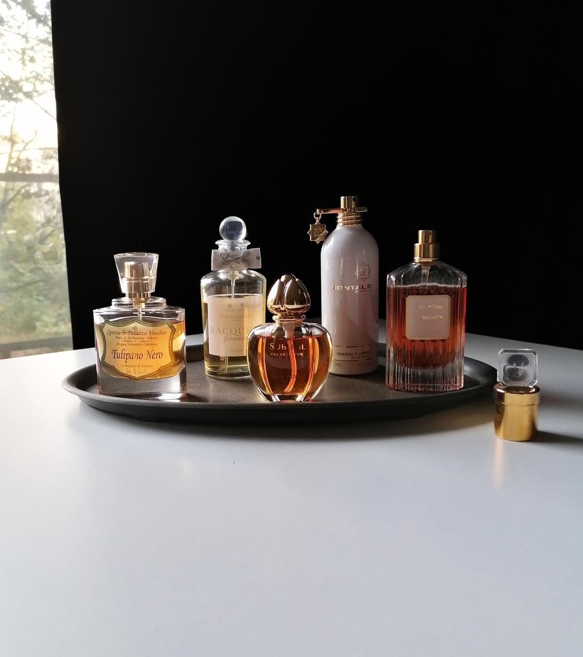 عطر ادکلن تولیپانو نرو آی پروفومی دی فلورانس - Tulipano Nero I Profumi di Firenze - بررسی، قیمت و خرید
