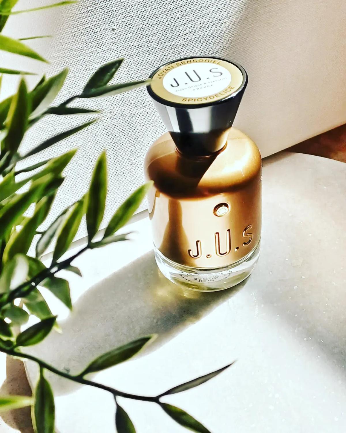 عطر ادکلن اسپایسی دلیس ژو پرفیوم - Spicydelice J.U.S Parfums - بررسی، قیمت و خرید