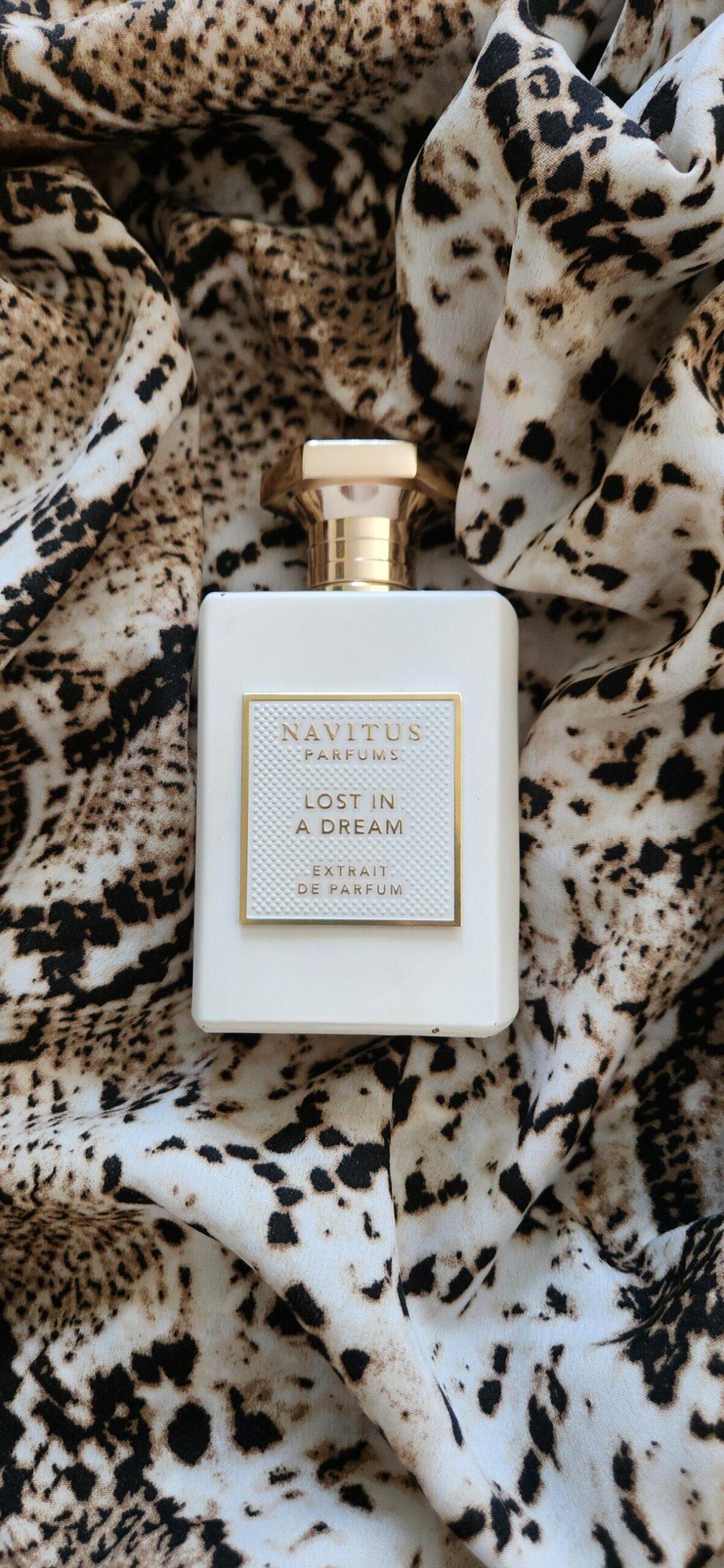 عطر ادکلن لاست این ا دریم ناویتوس پارفومز - Lost in a Dream Navitus Parfums - بررسی، قیمت و خرید