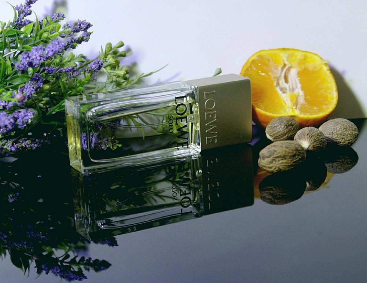 عطر ادکلن سولو لووِه اسِنشال لووه - Solo Loewe Esencial Loewe - بررسی، قیمت و خرید