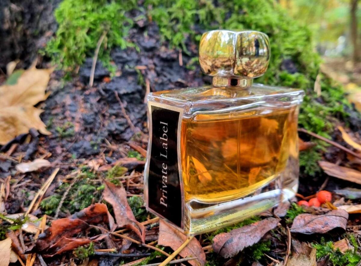 عطر ادکلن پرایوت لیبل جووی پاریس - Private Label Jovoy Paris - بررسی، قیمت و خرید