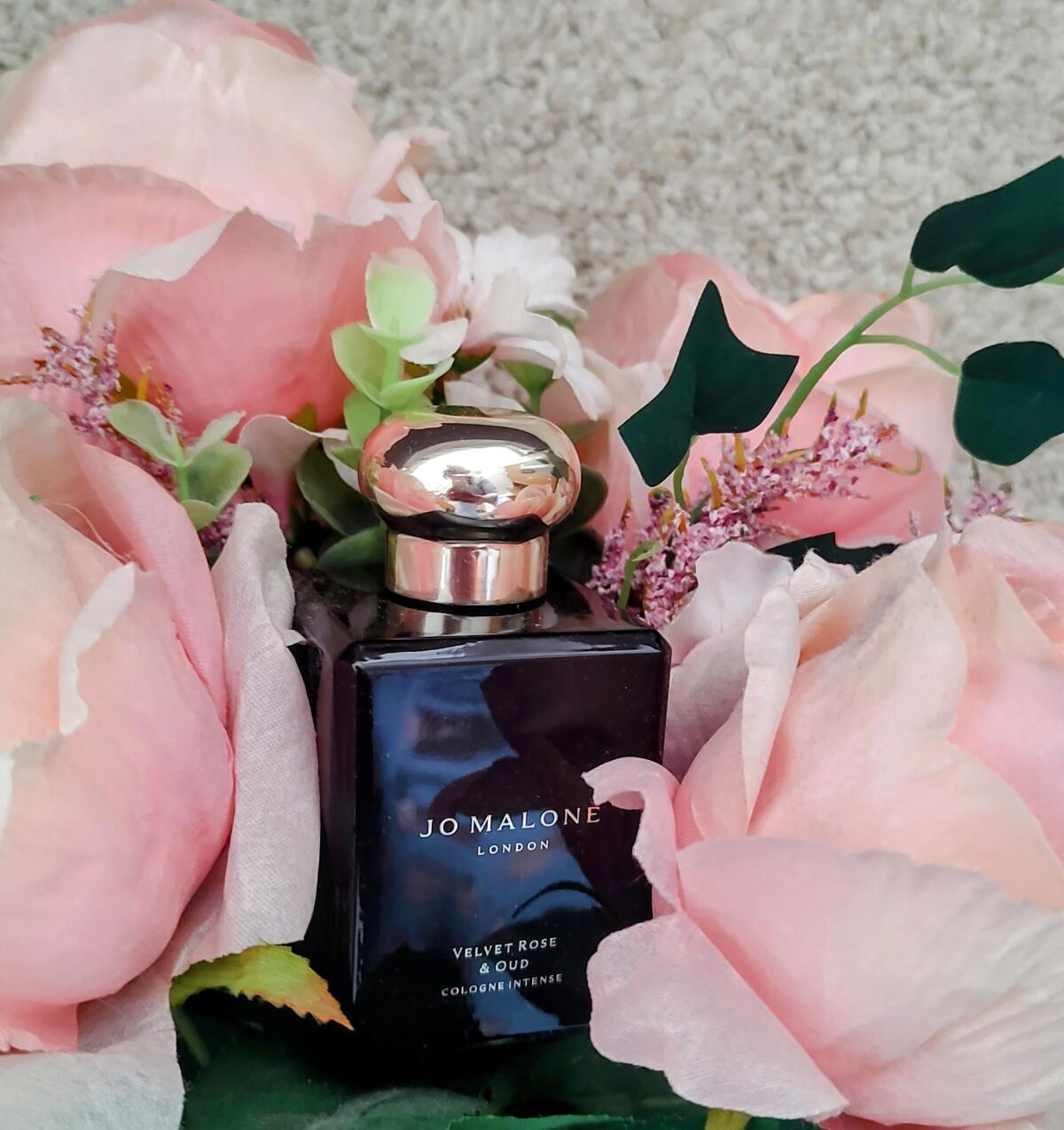 عطر ادکلن ولوت رز اند عود جو مالون لندن - Velvet Rose & Oud Jo Malone London - بررسی، قیمت و خرید