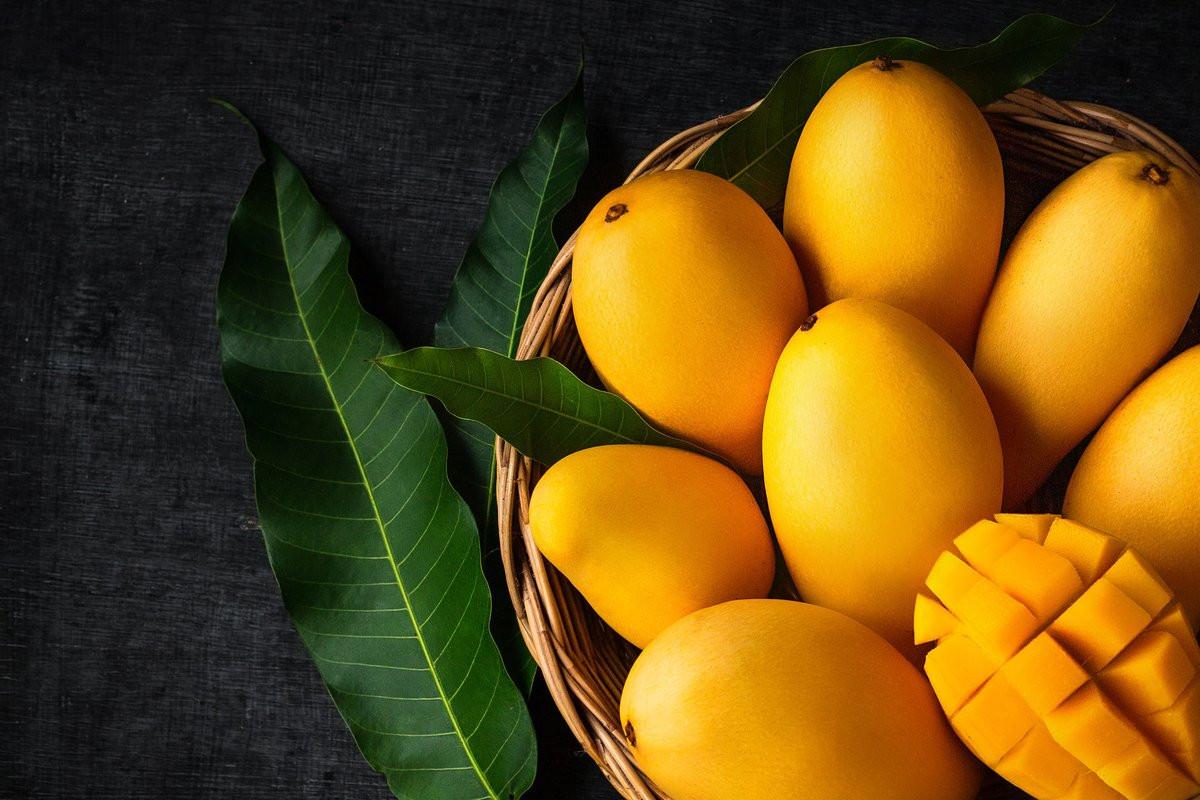 عطر ادکلن منگو مکس فیلیپ - Mango Max Philip - بررسی، قیمت و خرید