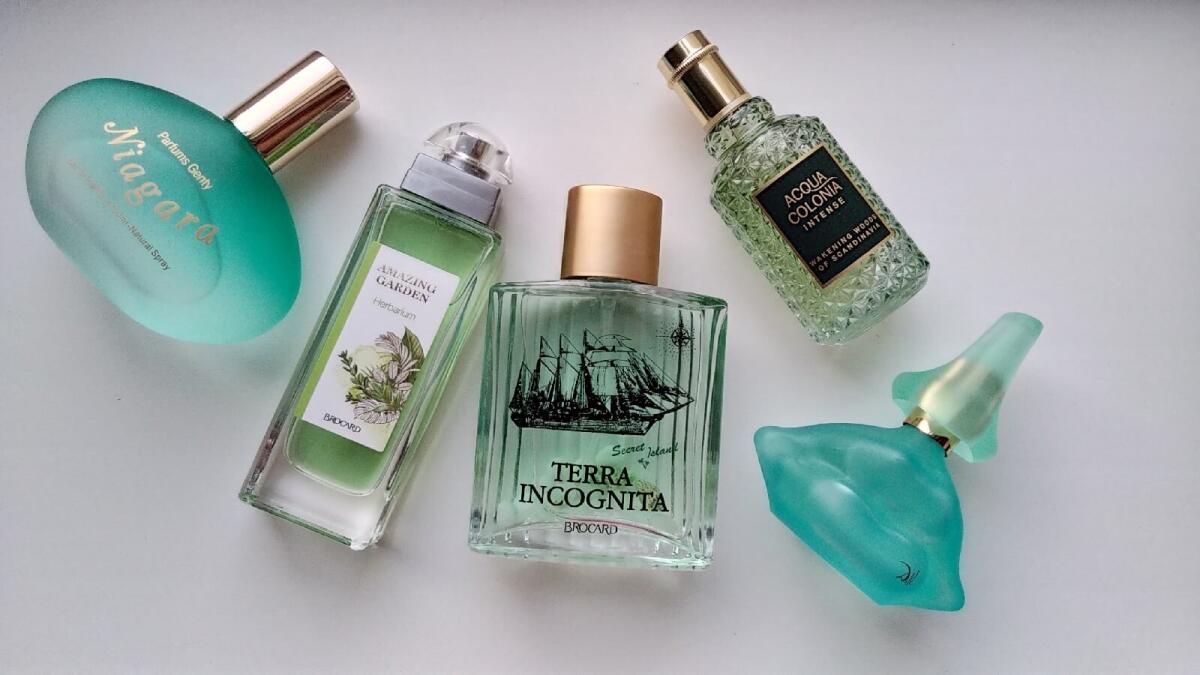 عطر ادکلن نیاگارا پرفیومز جنتی - Niagara Parfums Genty - بررسی، قیمت و خرید