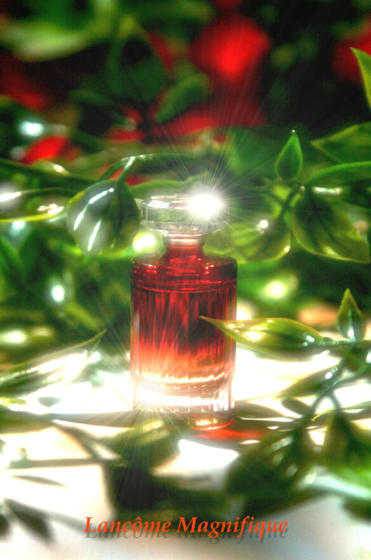 عطر ادکلن مقنیفیک لانکوم - Magnifique Lancôme - بررسی، قیمت و خرید
