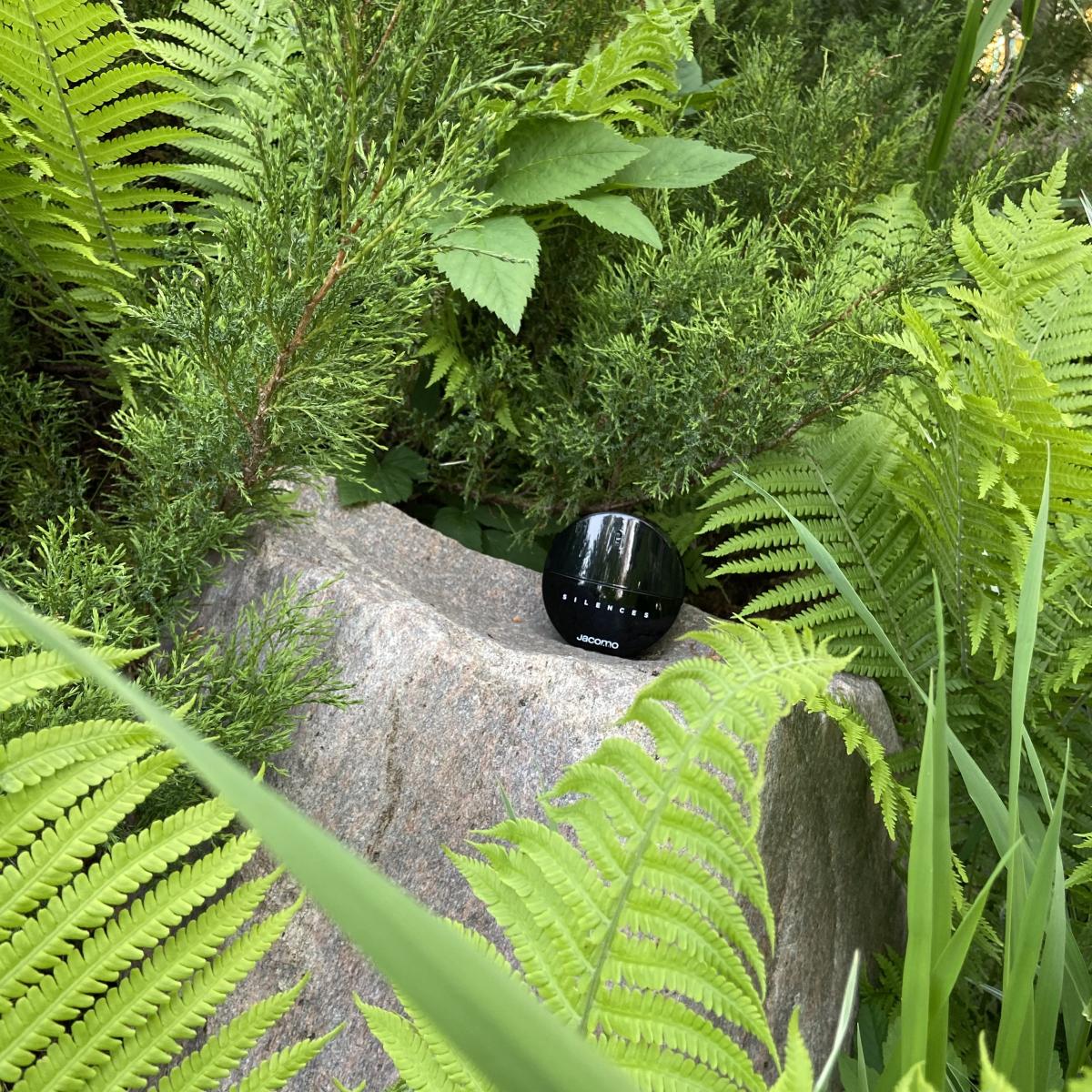 عطر ادکلن سیلنس او د پرفیوم سابلایم ژاکومو - Silences Eau de Parfum Sublime Jacomo - بررسی، قیمت و خرید