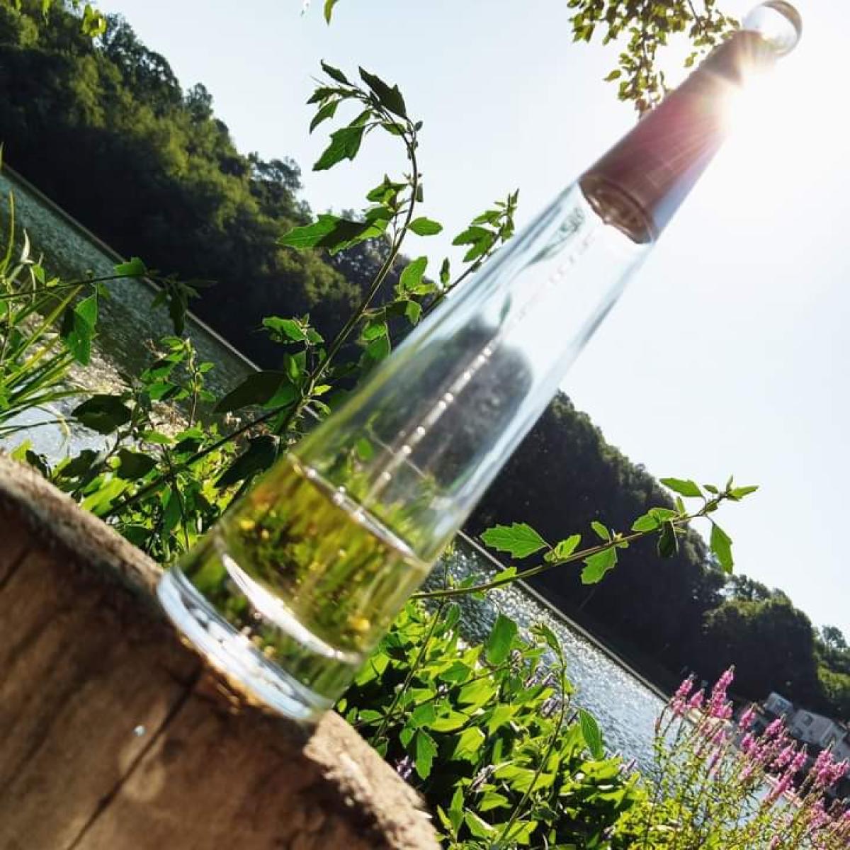 عطر ادکلن لو دیسی اودوپرفیوم ایسی میاکه - L'eau d'Issey Eau de Parfum Issey Miyake - بررسی، قیمت و خرید