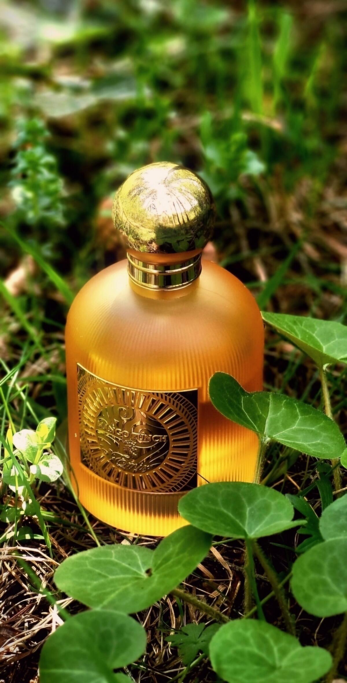 عطر ادکلن منگو پانچ پاریس کورنر - Mango Punch PARIS CORNER - بررسی، قیمت و خرید