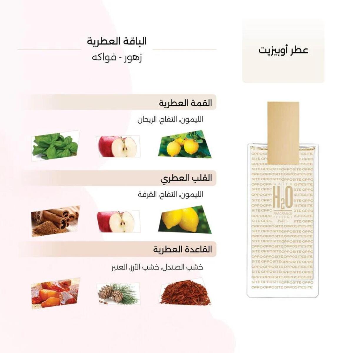 عطر ادکلن اوپوزیت او دو پرفیوم آب - Opposite Eau de Parfum H2O - بررسی، قیمت و خرید