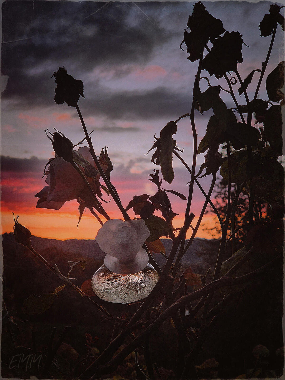 عطر ادکلن لُ مُند اِس بُو کنزو - Le Monde Est Beau Kenzo - بررسی، قیمت و خرید