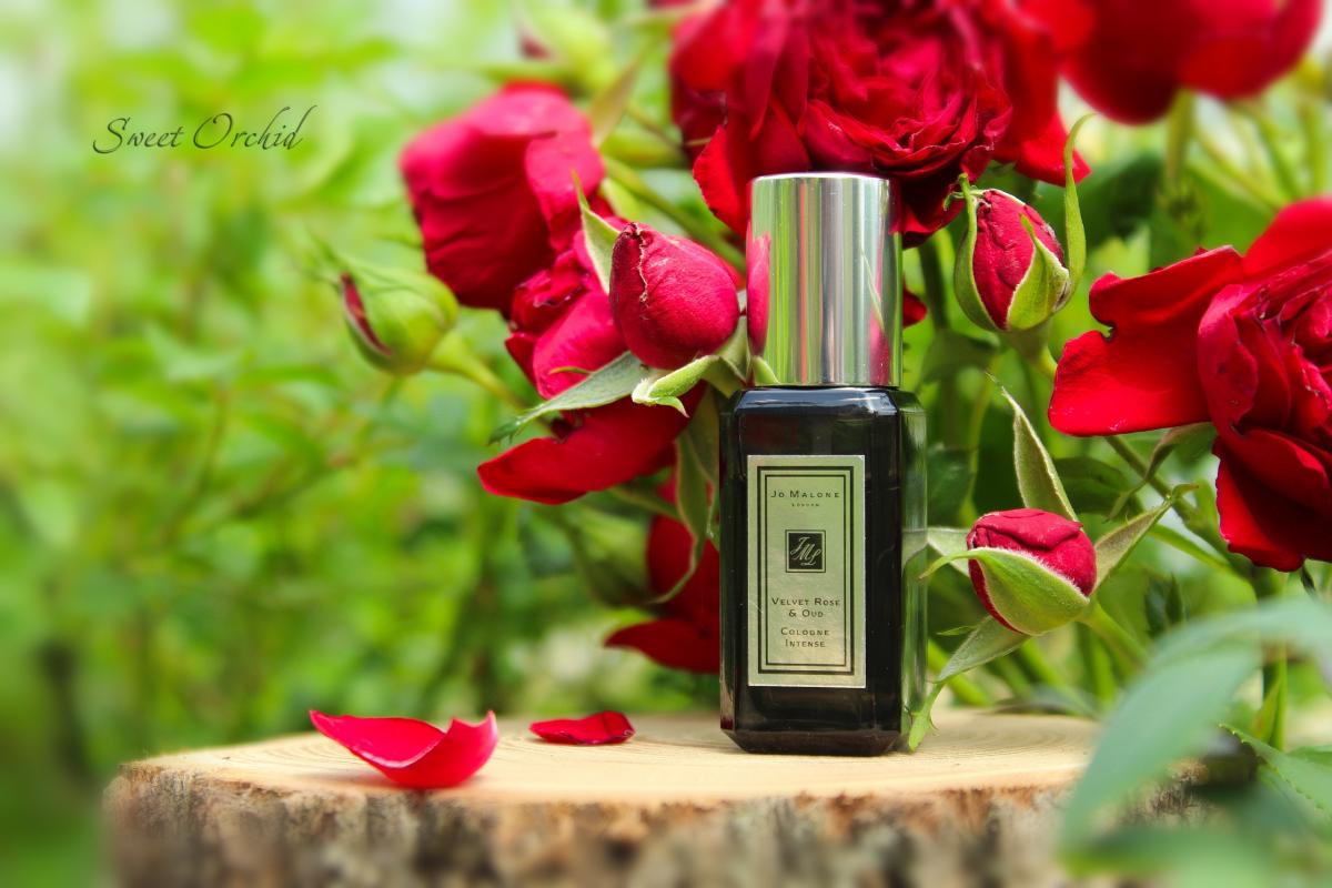 عطر ادکلن ولوت رز اند عود جو مالون لندن - Velvet Rose & Oud Jo Malone London - بررسی، قیمت و خرید