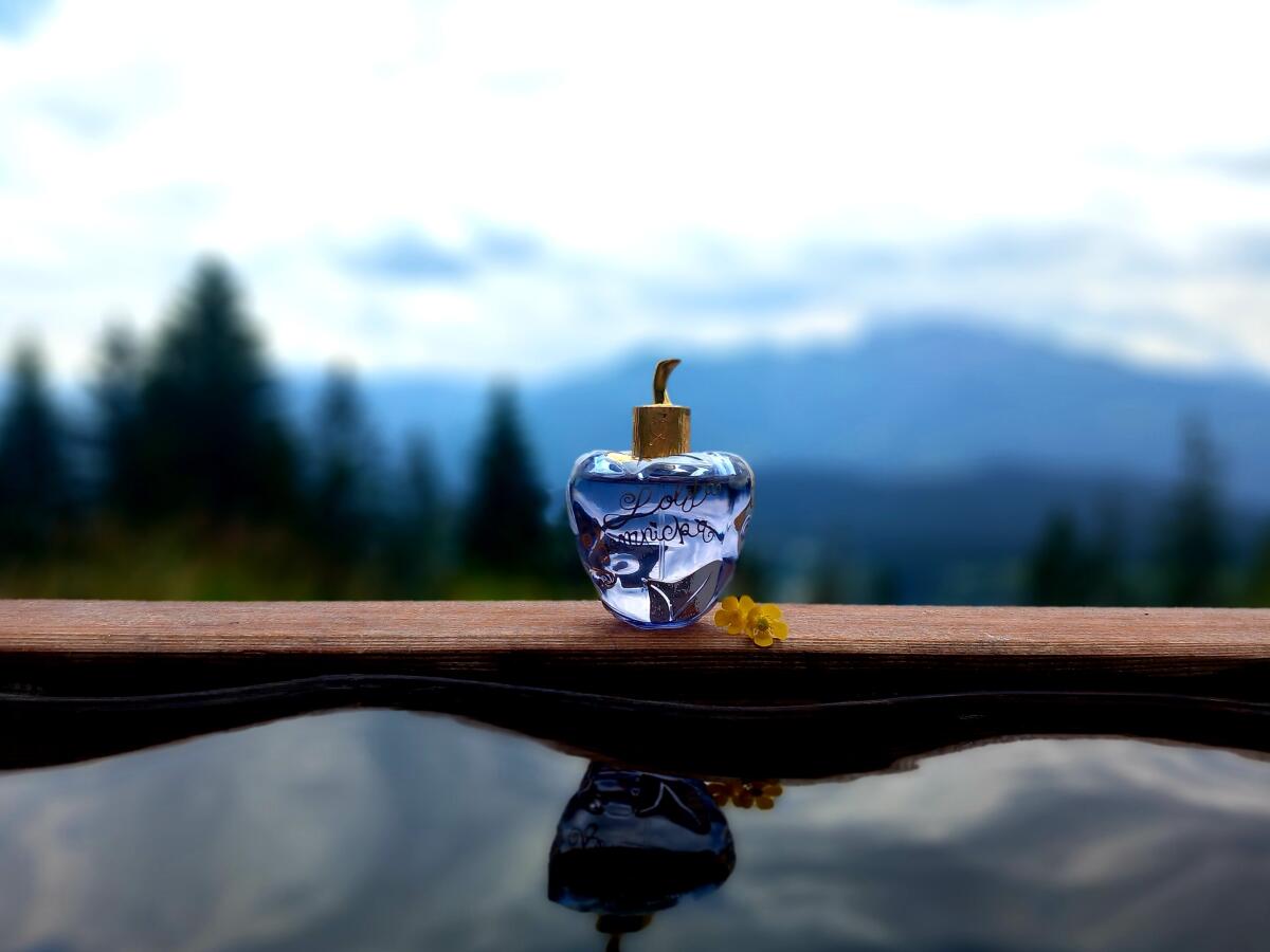 عطر ادکلن لولیتا لمپیکا لولیتا لمپیکا - Lolita Lempicka Lolita Lempicka - بررسی، قیمت و خرید