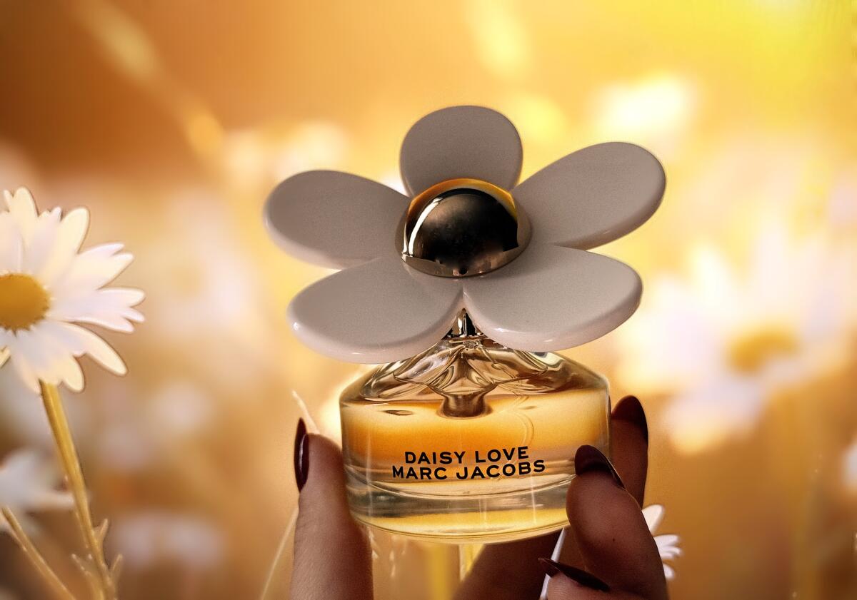 عطر ادکلن دیزی لاو مارک جیکوبز - Daisy Love Marc Jacobs - بررسی، قیمت و خرید