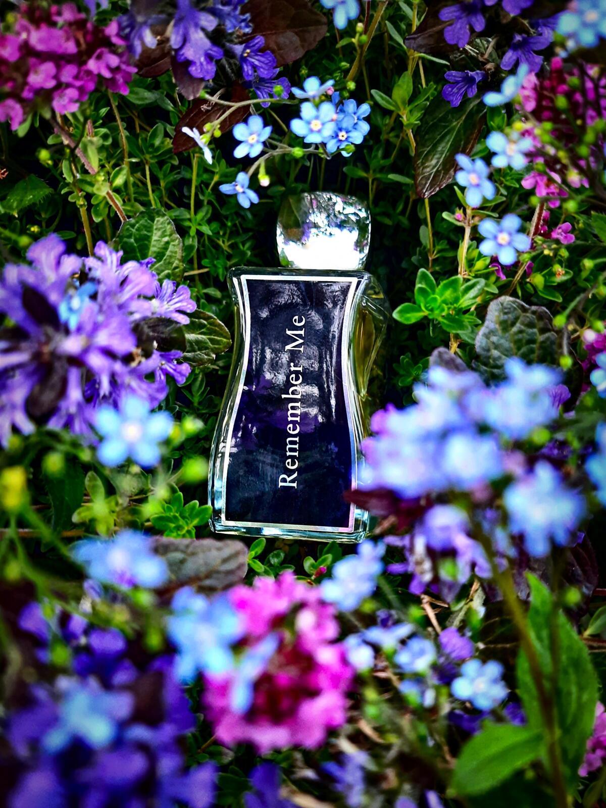 عطر ادکلن ریممبر می جووی پاریس - Remember Me Jovoy Paris - بررسی، قیمت و خرید
