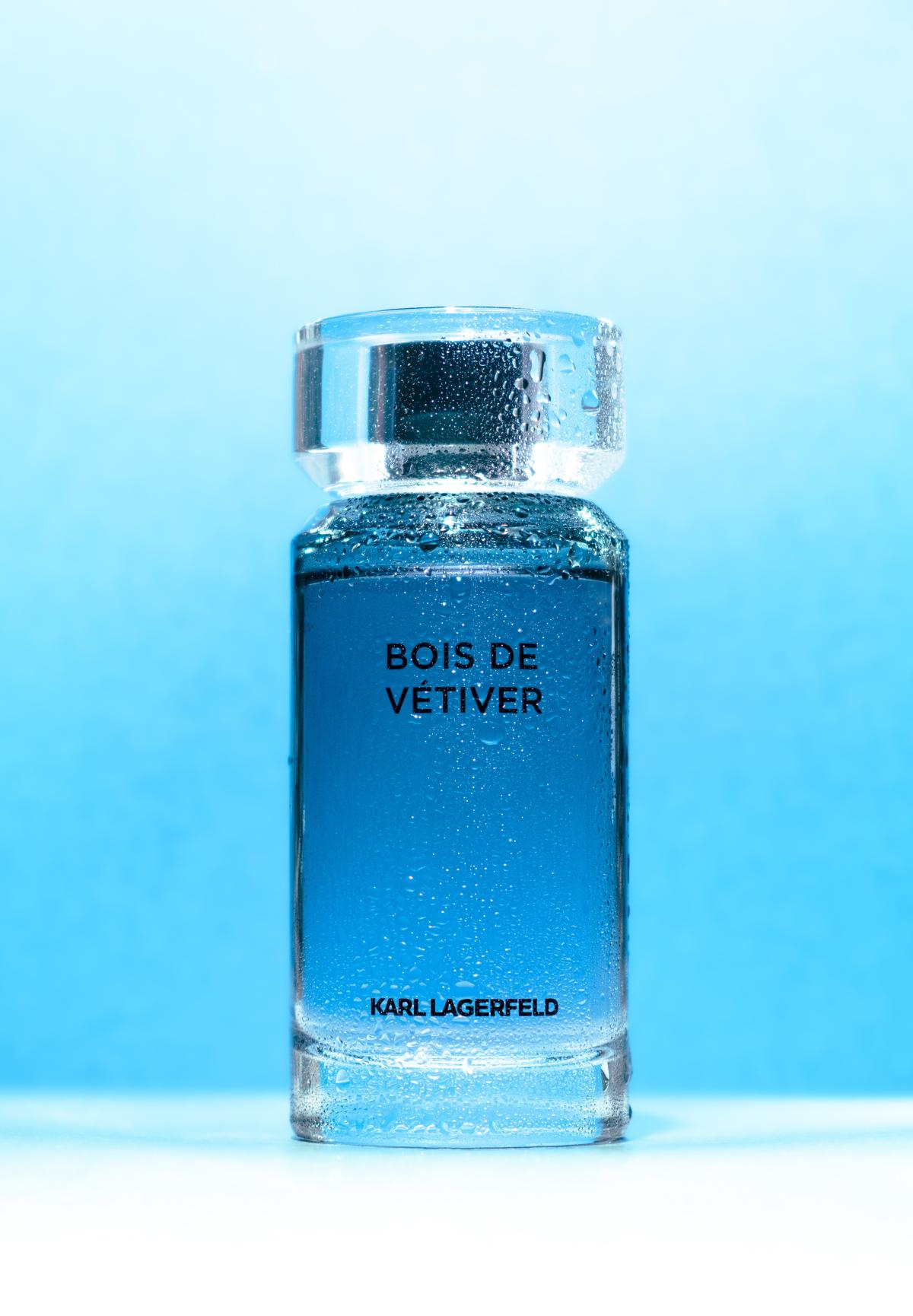 عطر ادکلن بوا دو وتیور کارل لاگرفلد - Bois de Vetiver Karl Lagerfeld - بررسی، قیمت و خرید