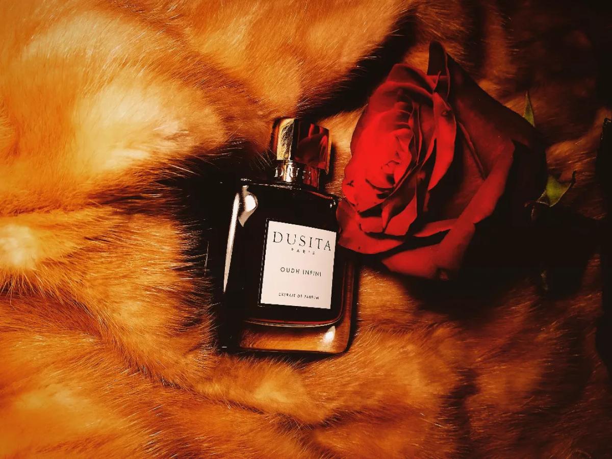 عطر ادکلن عود اینفینی پرفیومز دوسیتا - Oudh Infini Parfums Dusita - بررسی، قیمت و خرید